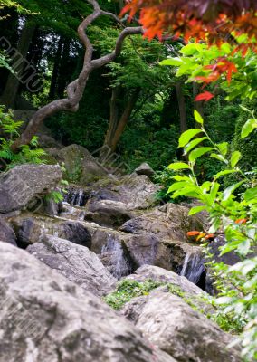 waterfall in garden