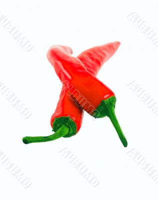 Red pepper