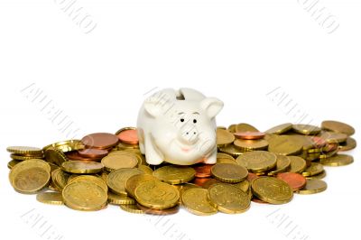 piggy bank