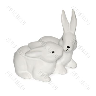 rabbit 