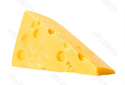 cheese on white