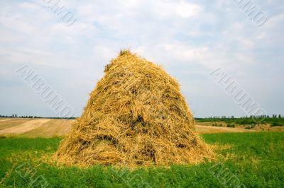 Hay Field