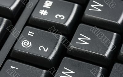 www