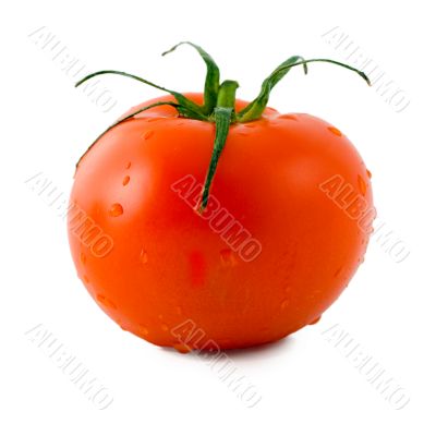 Red Tomato