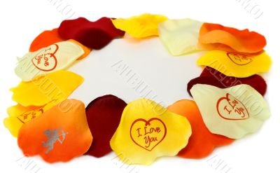 petal of the roses