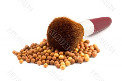Powder and brush
