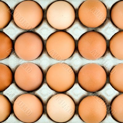 Chicken egg background
