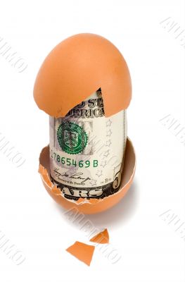 egg with dollar