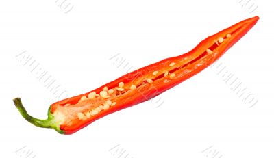 red chili peppers with seeds 