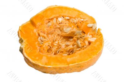pumpkin ripe