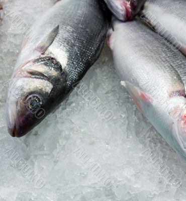 heap fresh fish
