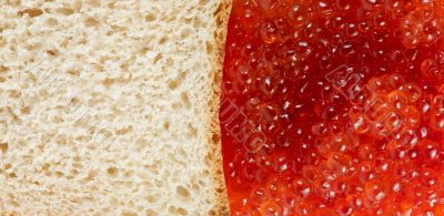 bread and red caviare