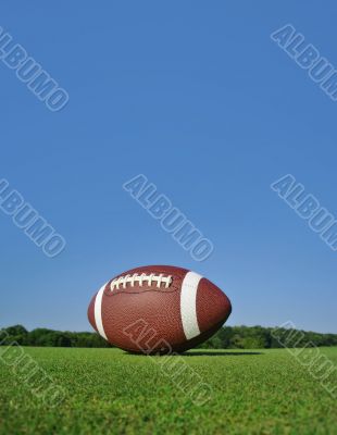 Portrait View Football on Field