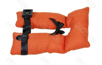 Life Vest