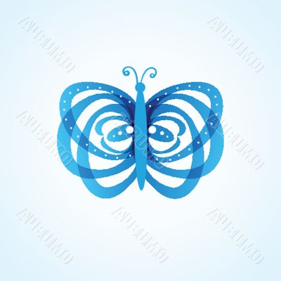 butterfly isolated on white background