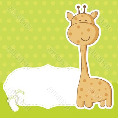 baby boy announcement card. vector illustration