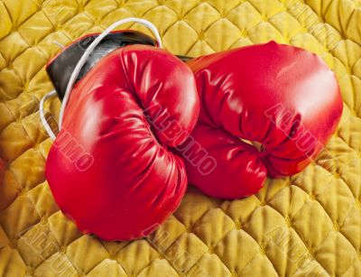 Gloves