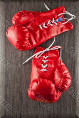 Gloves
