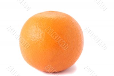 one large orange on a white background