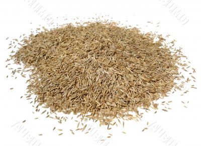 Grass Seed Pile on White