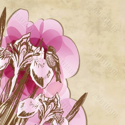 Decorative background with Tulips flowers