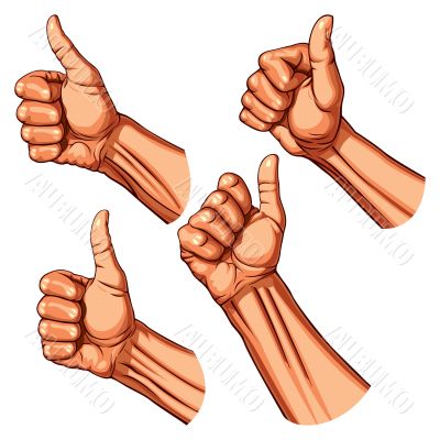 Set of four hands