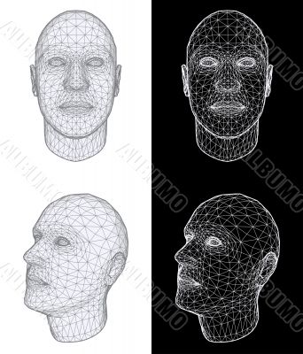 Human head. Vector Illustration