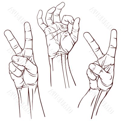 Set of three hands