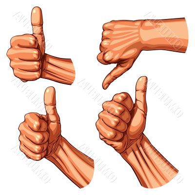 Set of four hands