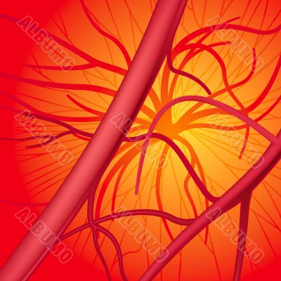 Blood system