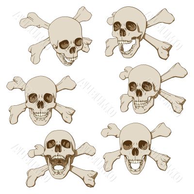 Six skulls set