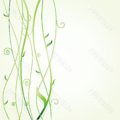 Vintage vector frame on floral background