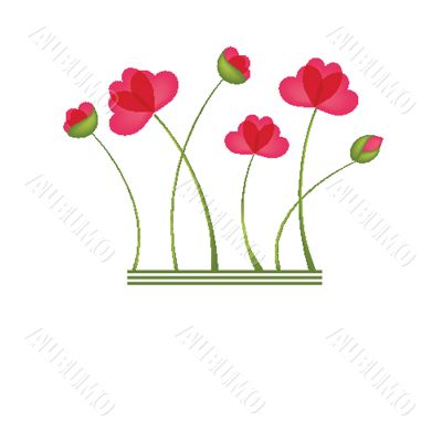 Spring card with beauty poppies.