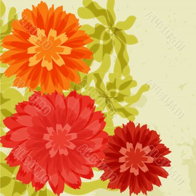 Red and orange chrysanthemums on grunge background