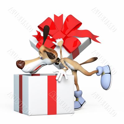 The dog looks for gifts.