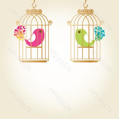 Cute  love birds in birdcage