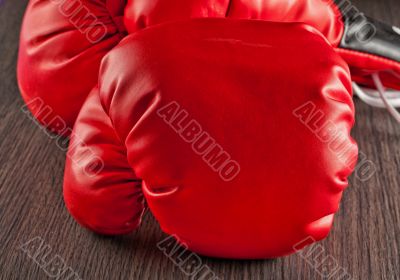 Gloves
