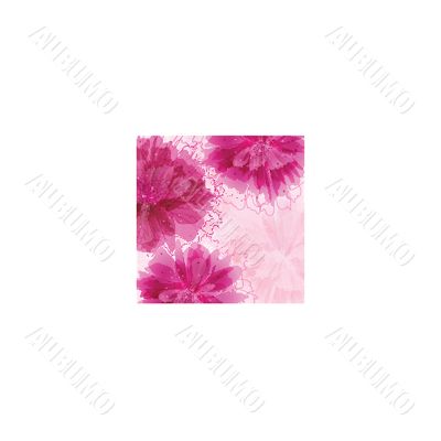 Vintage vector frame on floral background