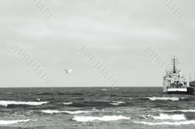 Ship and gull