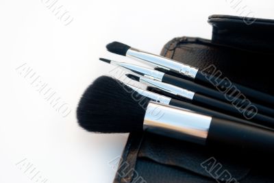 Makeup Brush Set