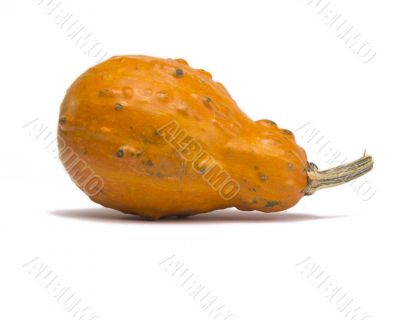 Gourd Isolated on White Background