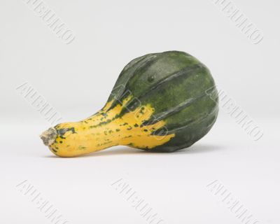 Green and Yellow Squash Isolated on White Background