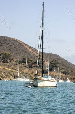 Sailboat Moored at Catalina Harbor