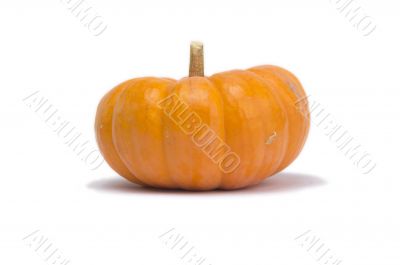 Single Pumpkin Isolated on White Background