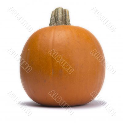 Single Pumpkin Isolated on White Background