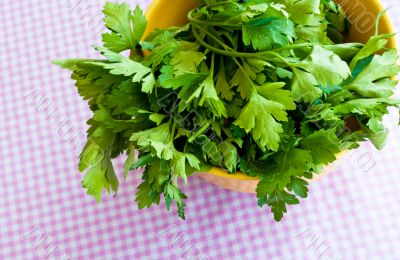Fresh Herbs: Coriander