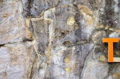 Stone background