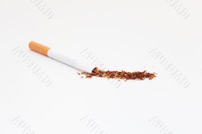 Inside a Cigarette