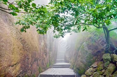 Mountain chinese zen path