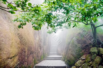 Mountain chinese zen path